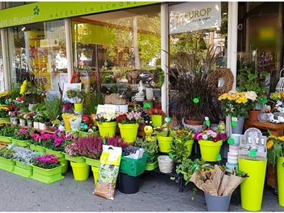 Wiesbaden Suche - Berts Blumen