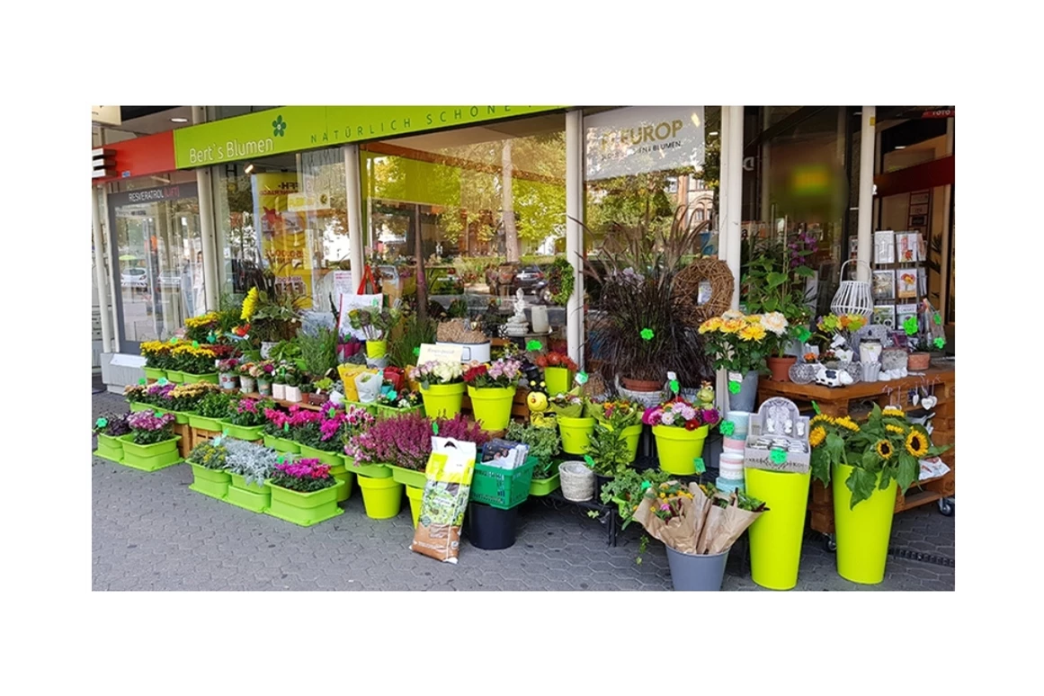 Einkaufen Wiesbaden: Berts Blumen