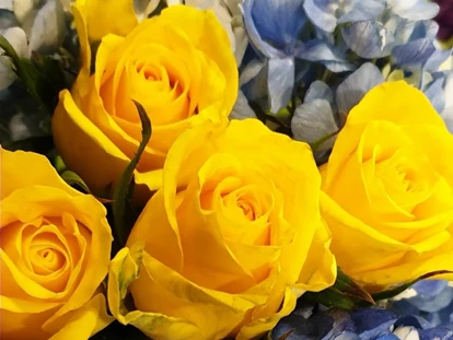 Wiesbaden Suche - Berts Blumen