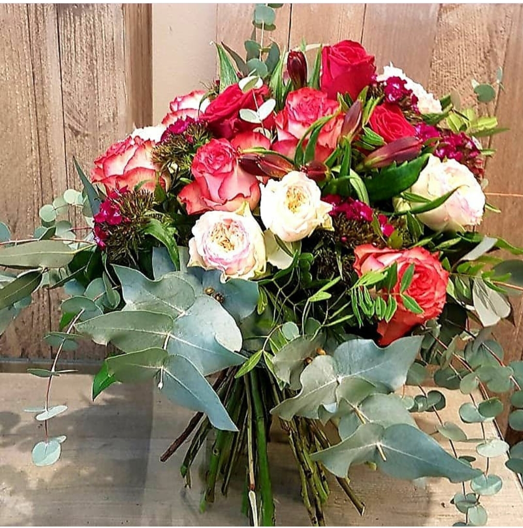 Wiesbaden Suche - Hessen - Berts Blumen