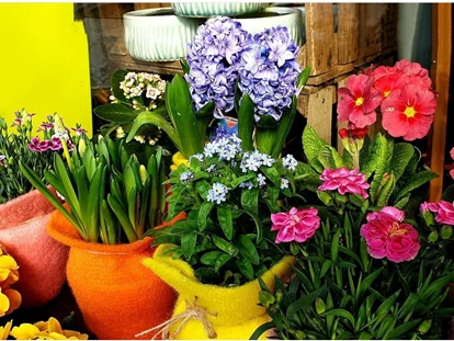 Wiesbaden Suche - Berts Blumen