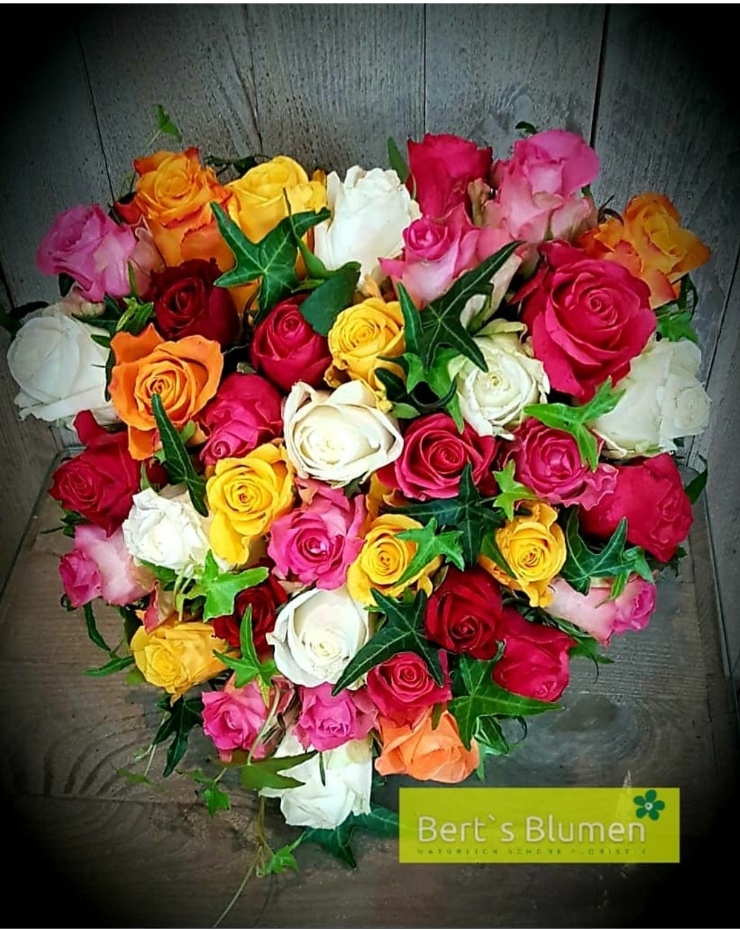 Wiesbaden Suche - Hessen - Berts Blumen 2