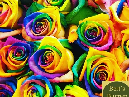 Wiesbaden Suche - Berts Blumen 2
